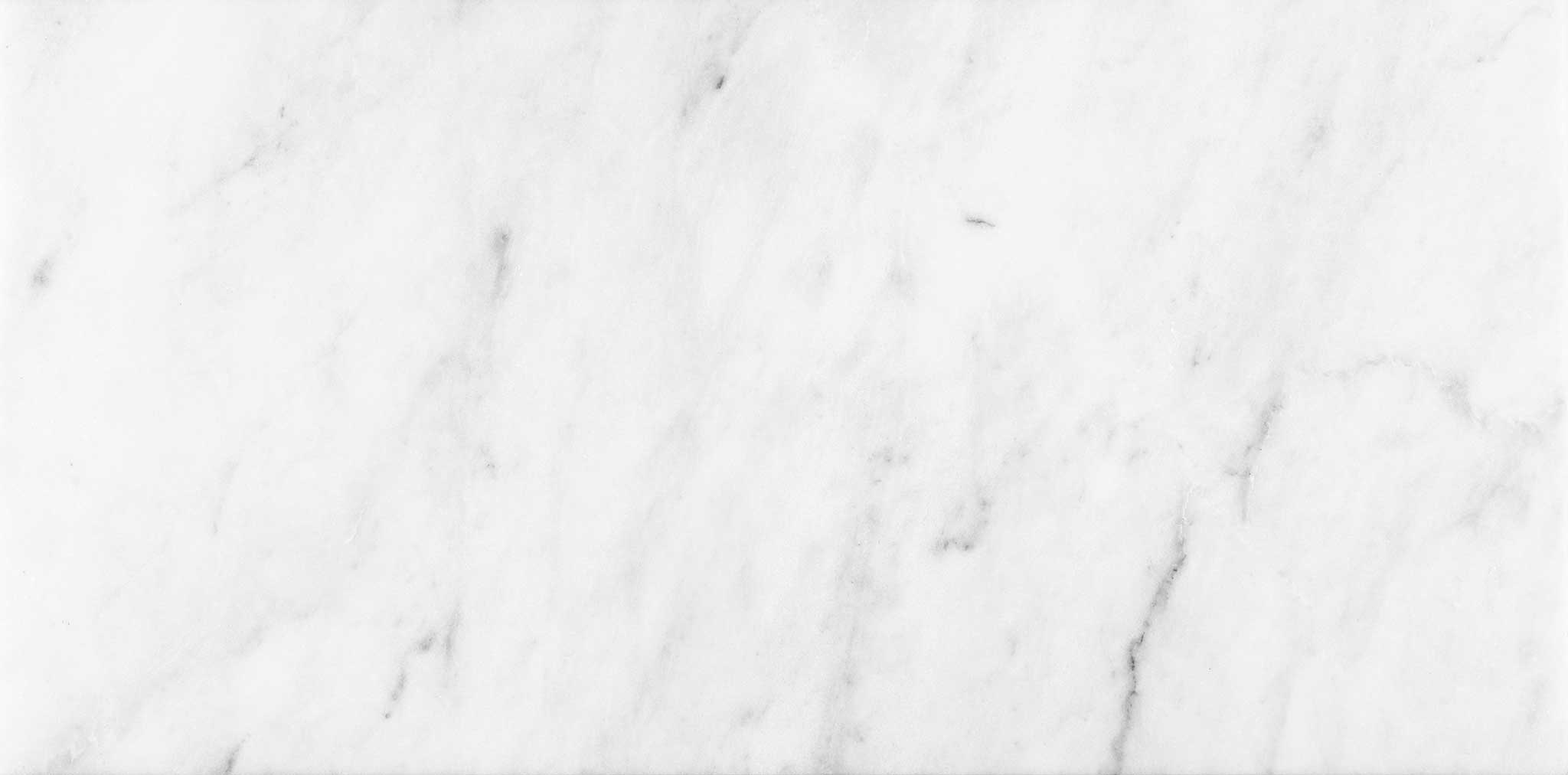Bianco Venatino 12x24 Honed | Tile Masters
