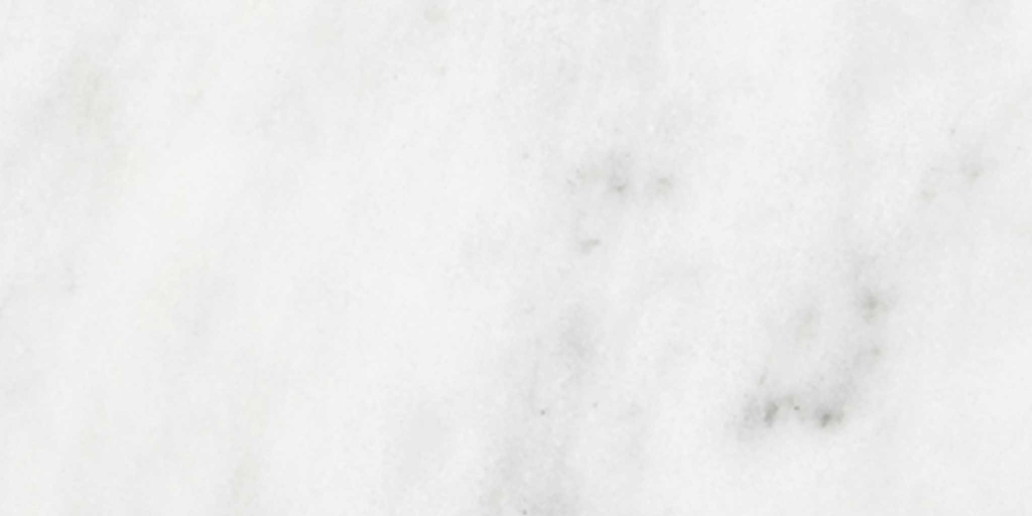 Bianco Venatino 3x6 Polished | Tile Masters