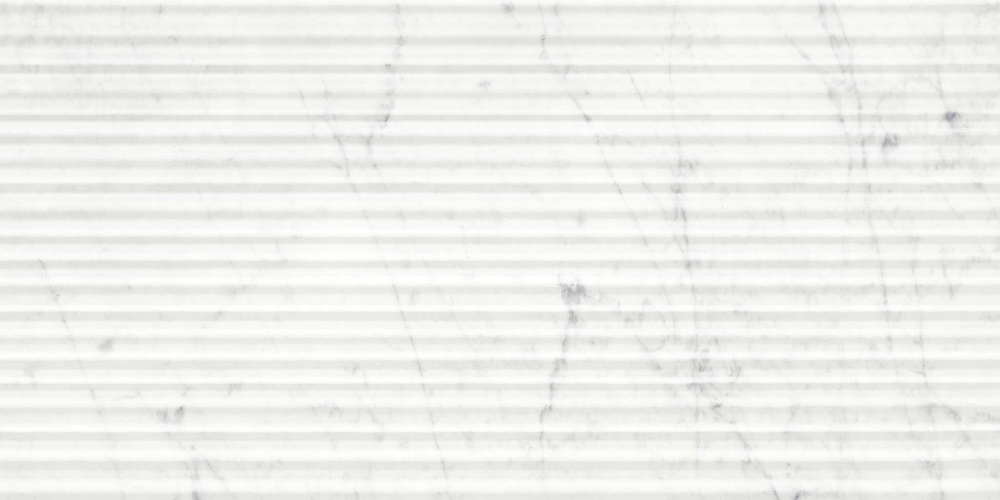 Eterna Bianco 12x24 Honed Curva | Tile Masters