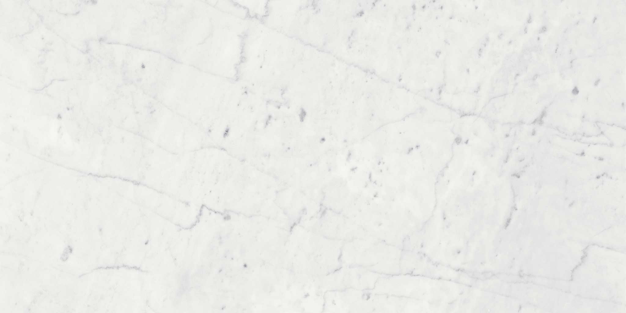 Eterna Bianco 24x24 Honed | Tile Masters