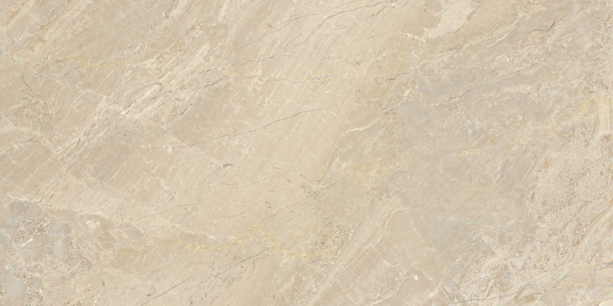 Impero Reale 12x24 Polished | Tile Masters