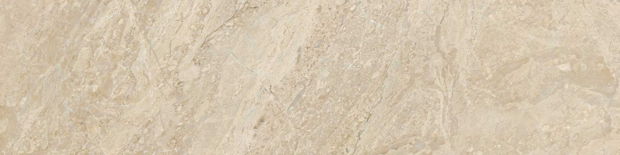 Impero Reale 3x12 Polished | Tile Masters