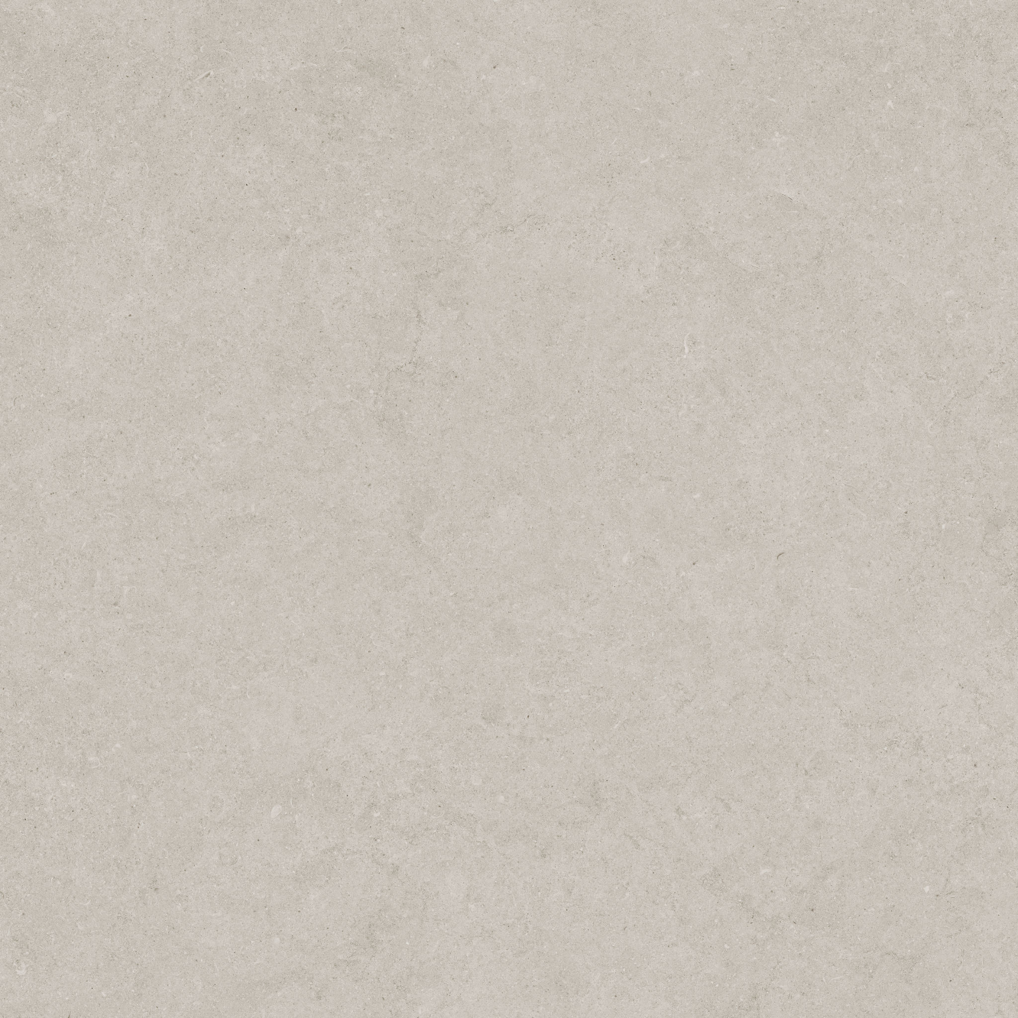 Lithoform 24X24 Crosscut Coast | Tile Masters