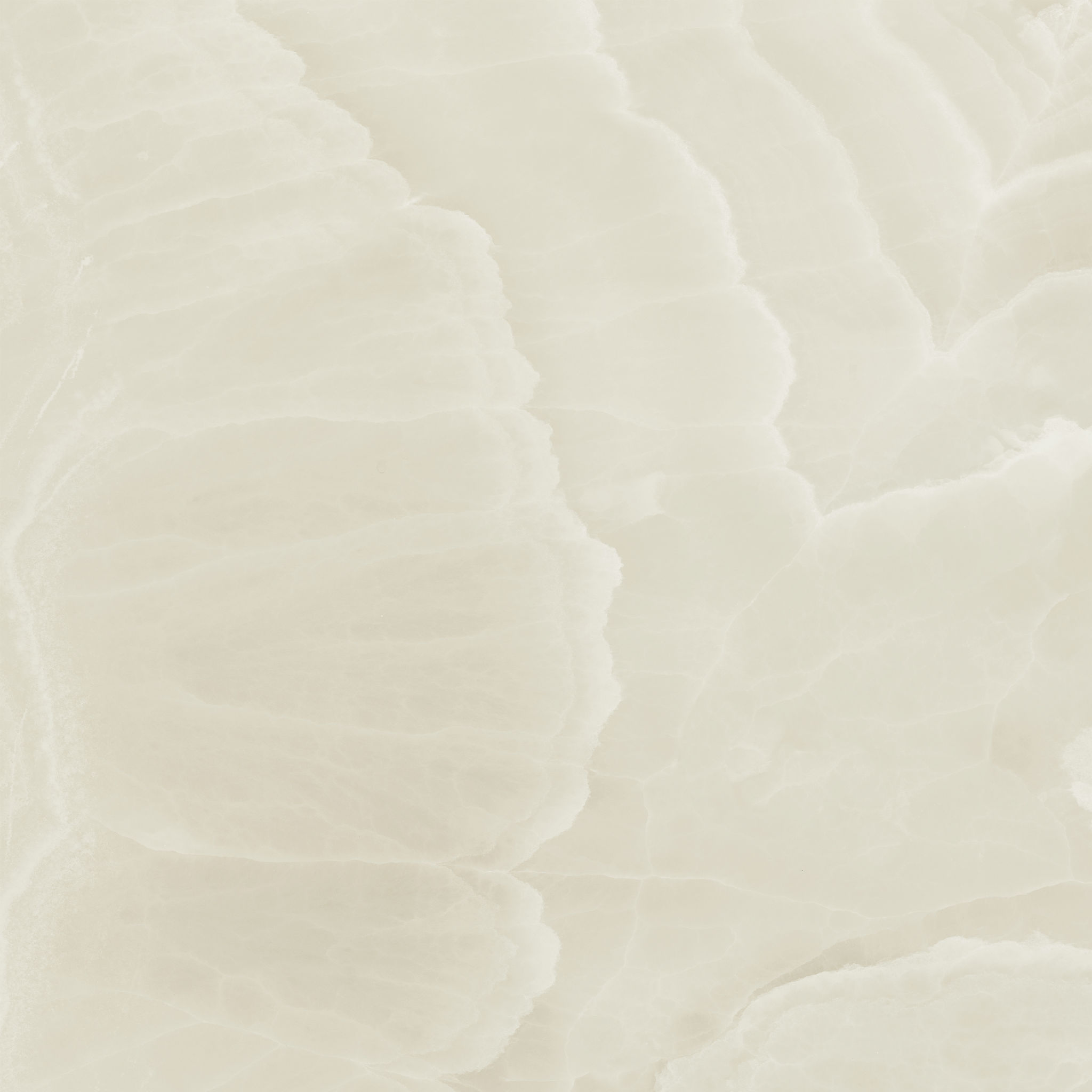 Lustra 36x36 Onyx Crema Honed | Tile Masters