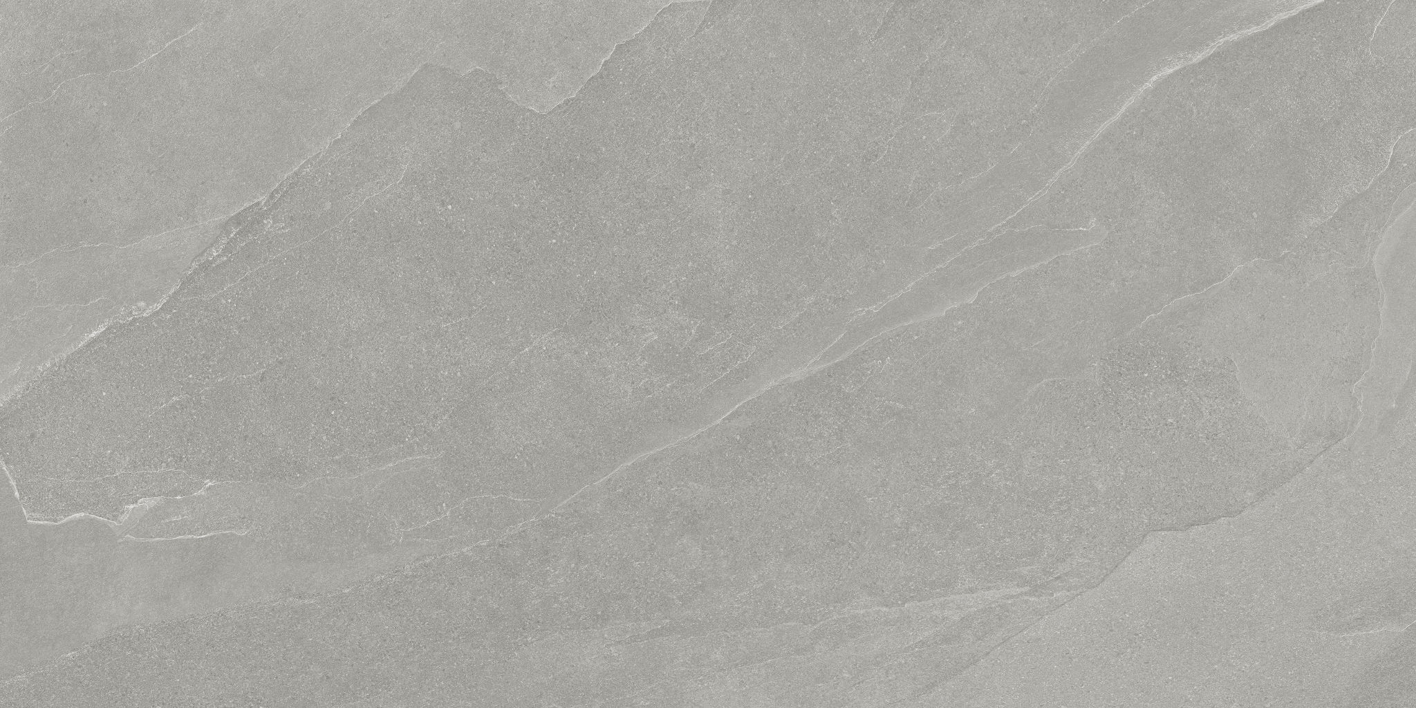 Nord 24x48 Palladium | Tile Masters