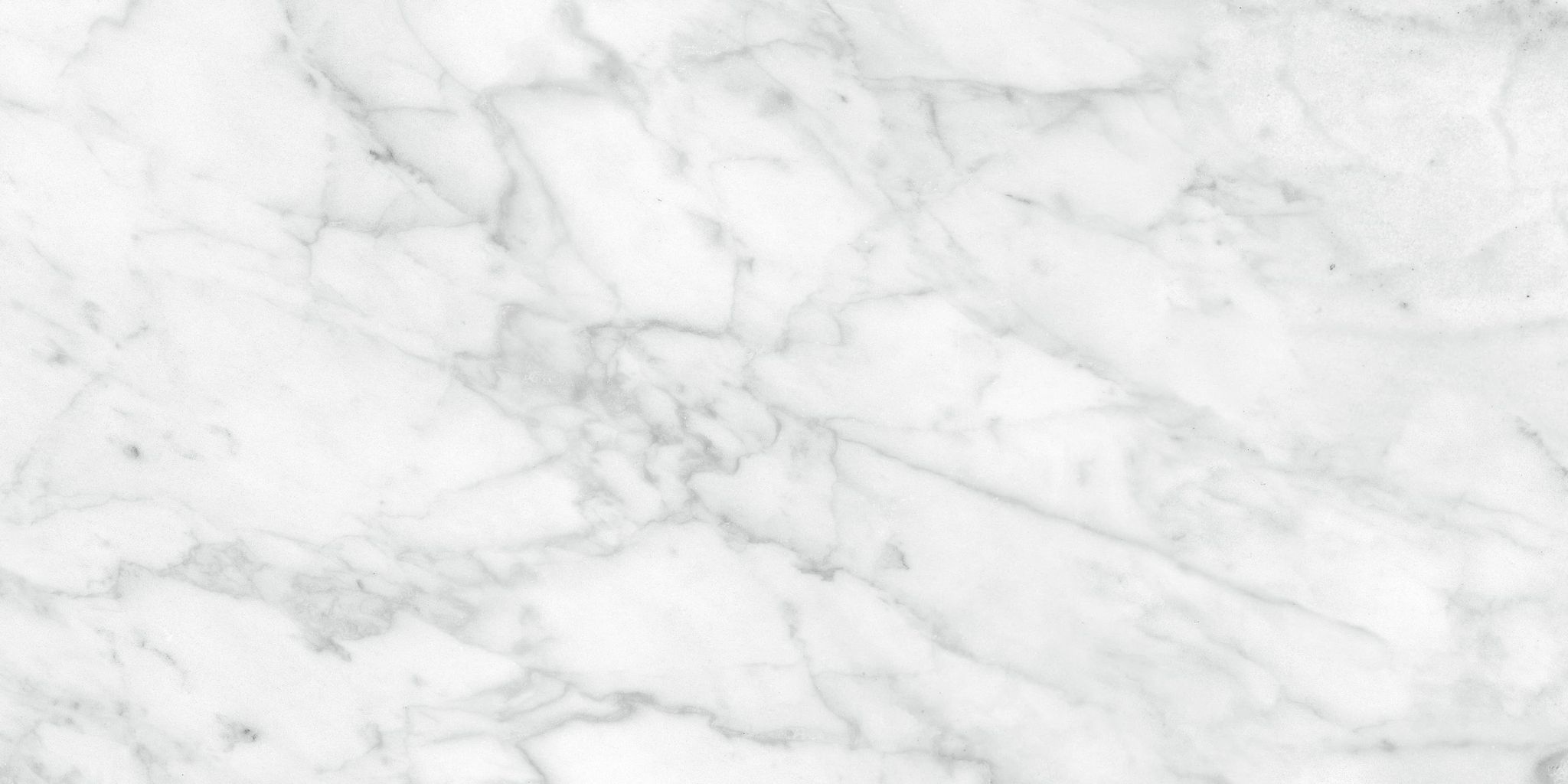 Plata 12x24 Carrara Abisso Polished | Tile Masters