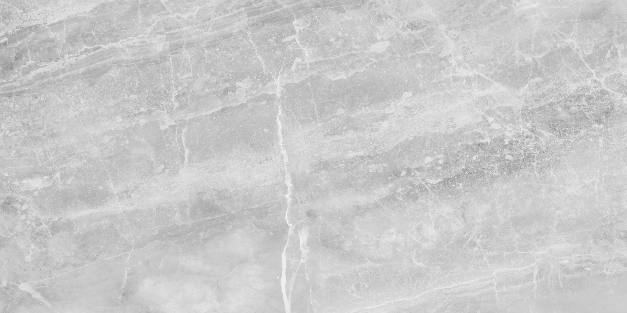 Plata 12x24 Perla Grigia Matte | Tile Masters