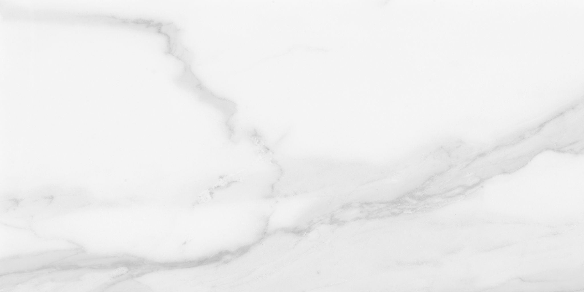 Plata 12x24 Statuario Brina Matte | Tile Masters