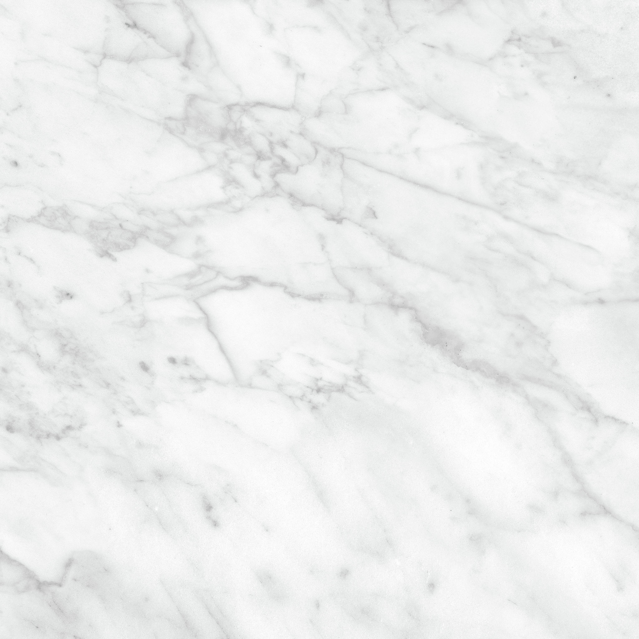 Plata 24x24 Carrara Abisso Matte | Tile Masters
