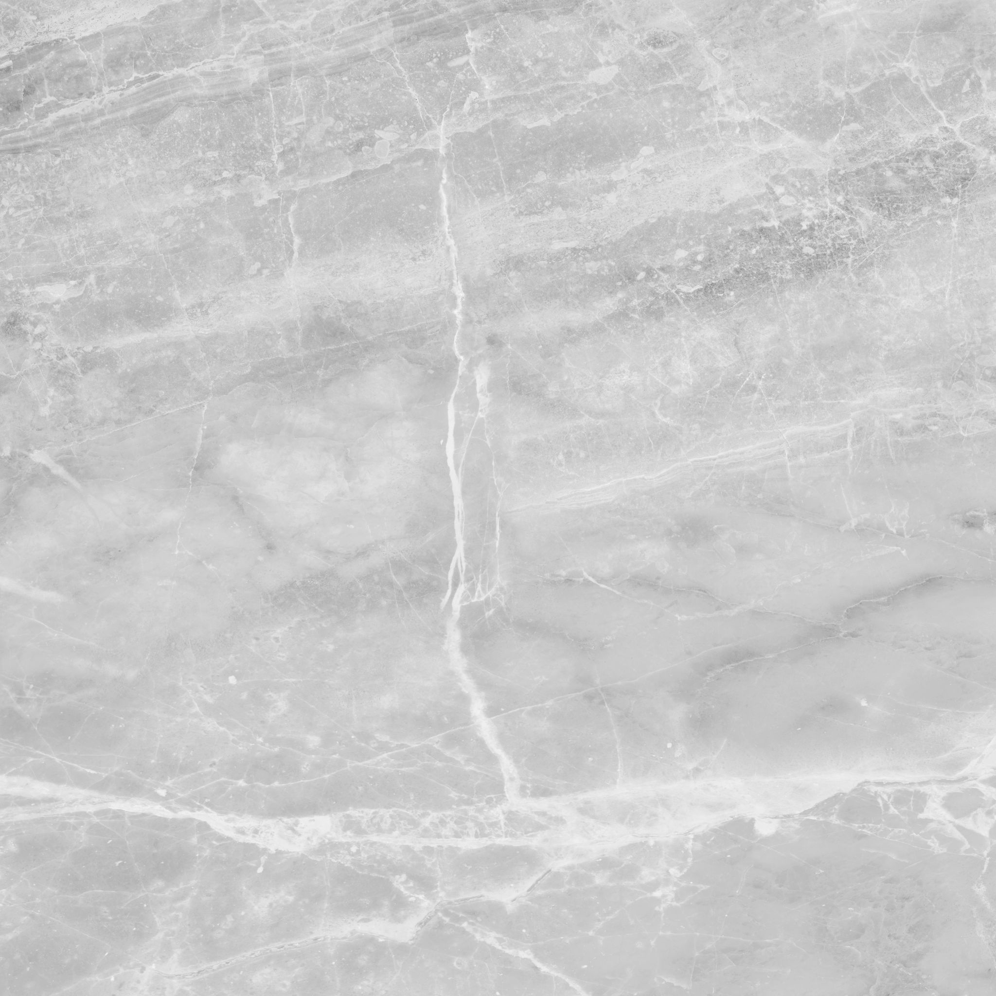 Plata 24x24 Perla Grigia Polished | Tile Masters