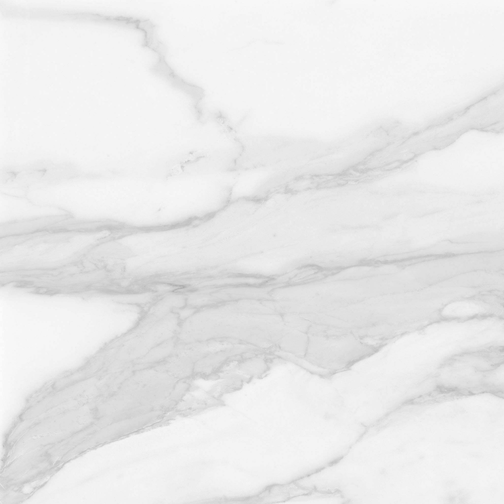 Plata 24x24 Statuario Brina Matte | Tile Masters