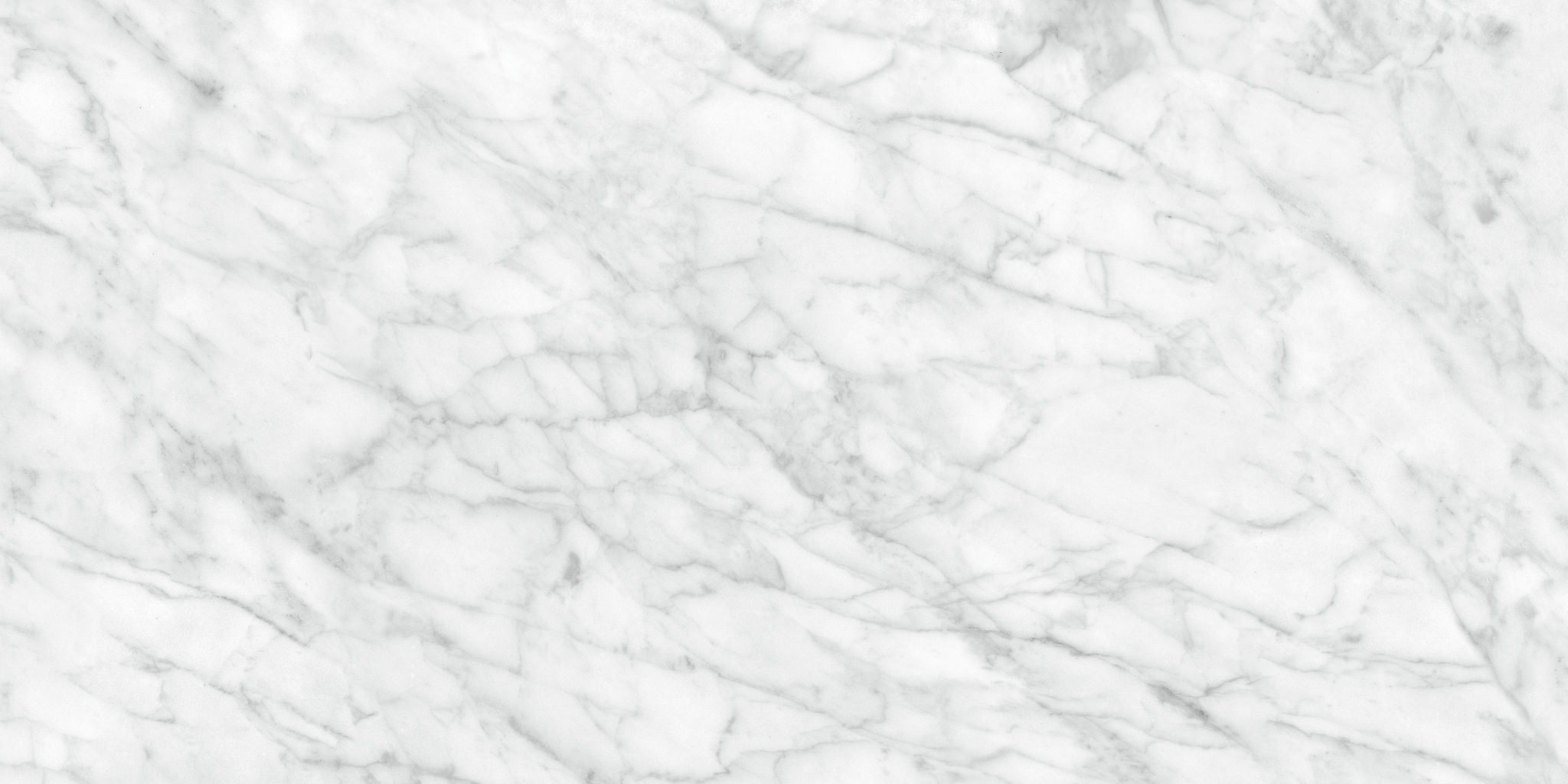 Plata 24x48 Carrara Abisso Matte | Tile Masters