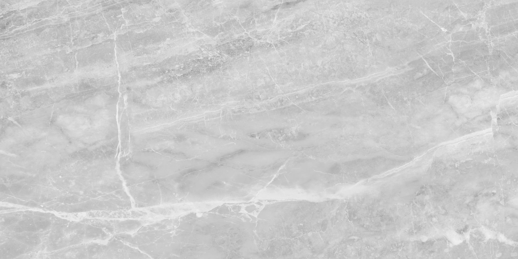 Plata 24x48 Perla Grigia Matte | Tile Masters