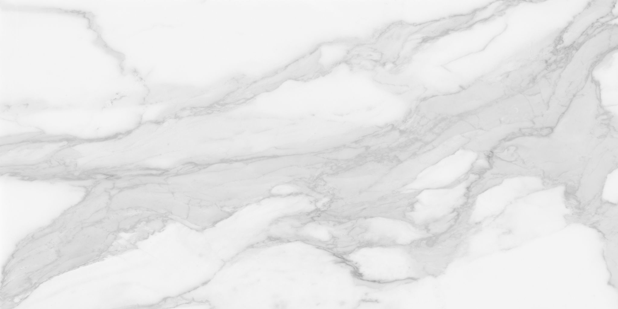 Plata 24x48 Statuario Brina Polished | Tile Masters
