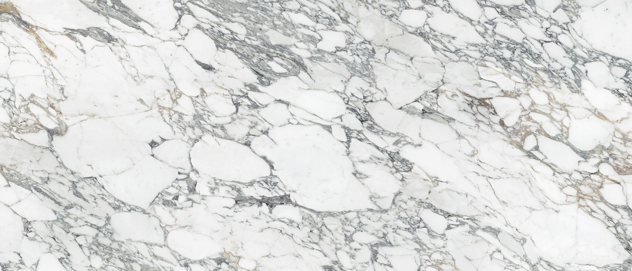 Royal Stoneworks 48X110 Italian Arabescato Honed | Tile Masters
