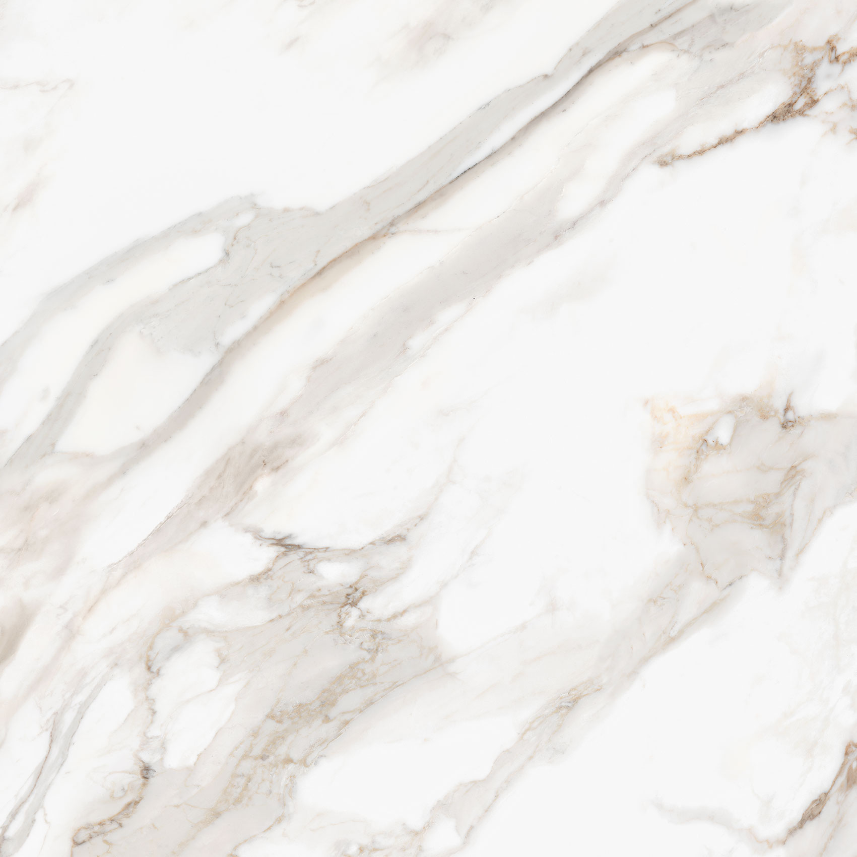 Royal Stoneworks 48X48 Calacatta Royale Honed | Tile Masters