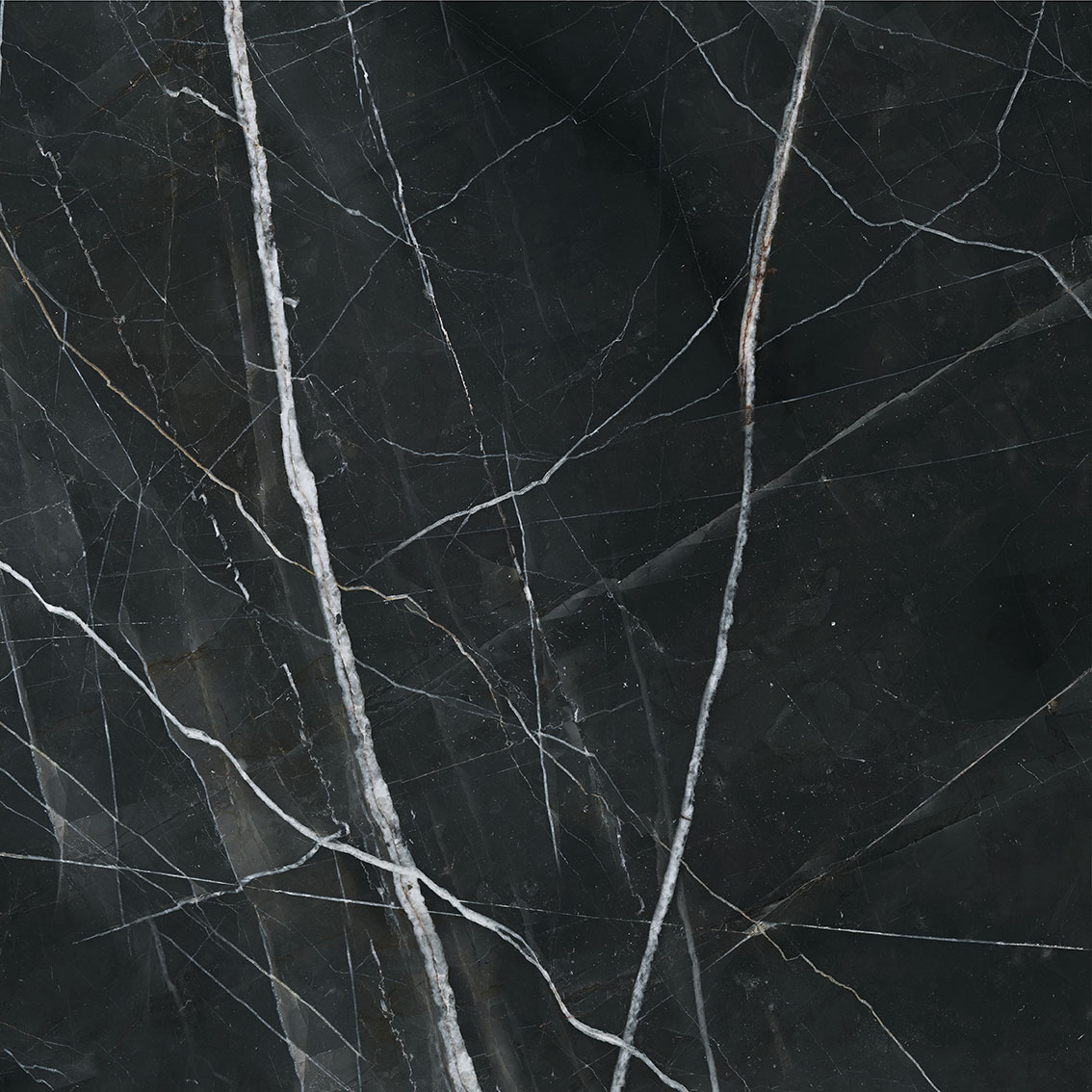 Royal Stoneworks 48X48 Regal Black Vein Polished | Tile Masters