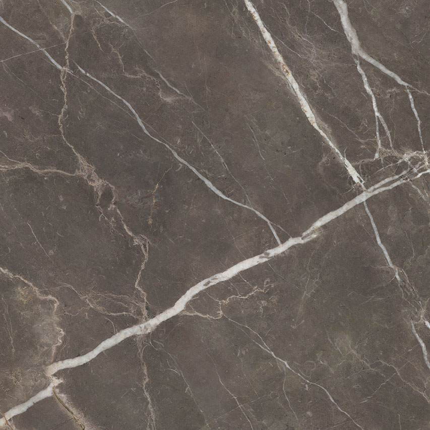 Royal Stoneworks 48X48 Regal Brown Marble Honed | Tile Masters