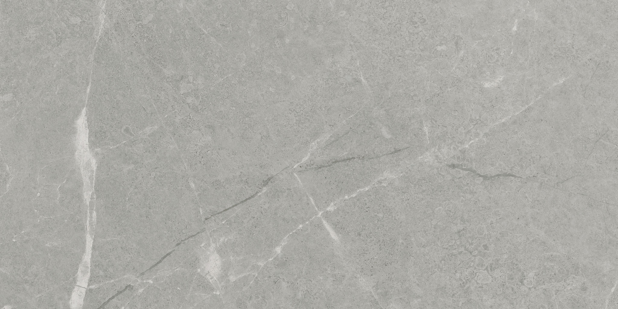 Torino 12x24 Argento | Tile Masters
