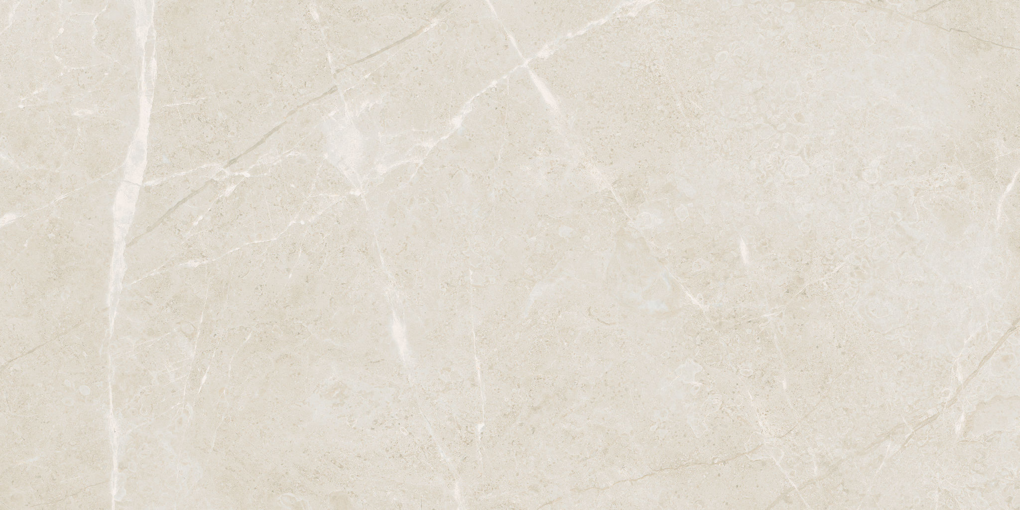 Torino 12x24 Avorio | Tile Masters