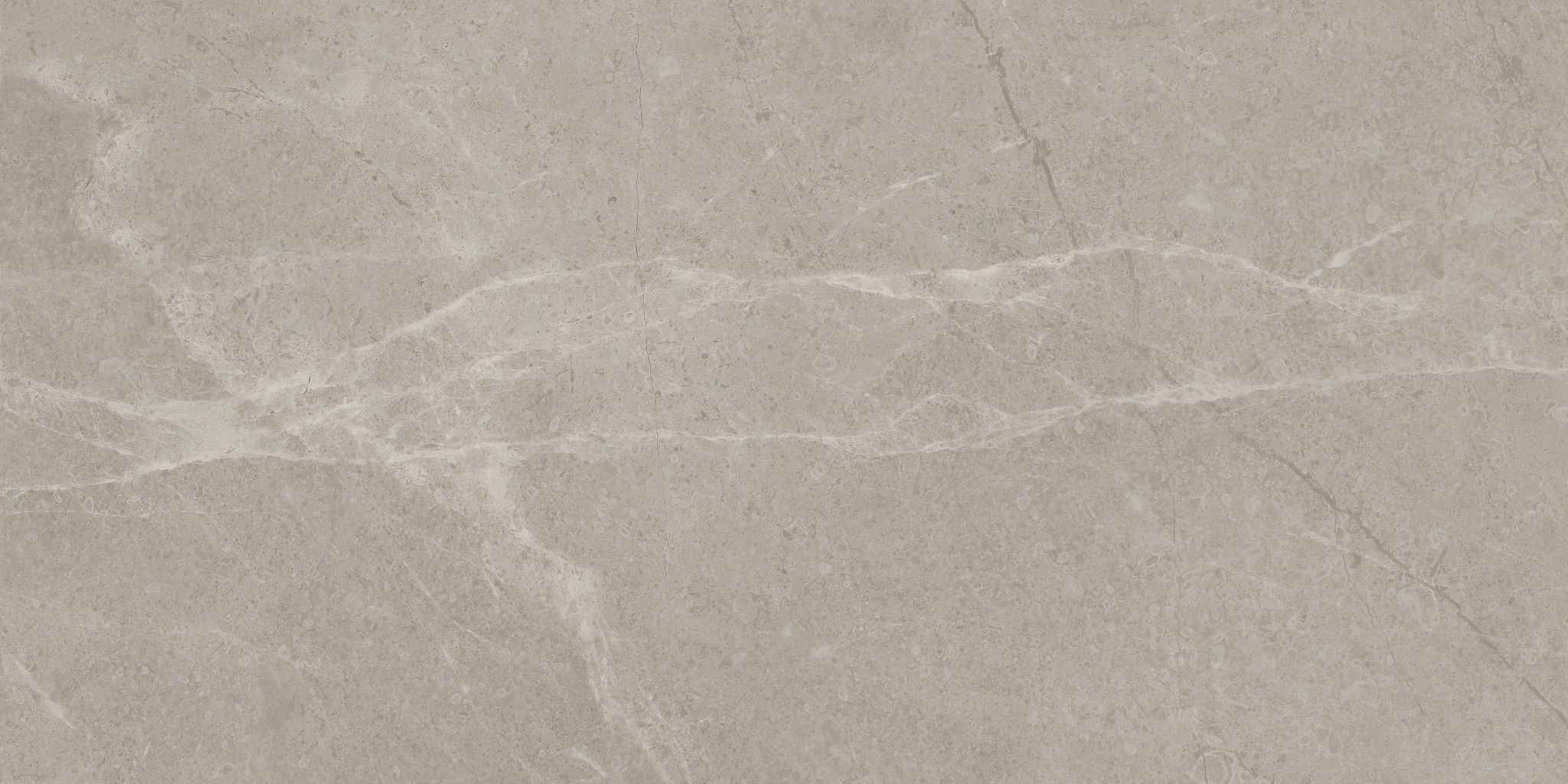 Torino 12x24 Vanizio | Tile Masters