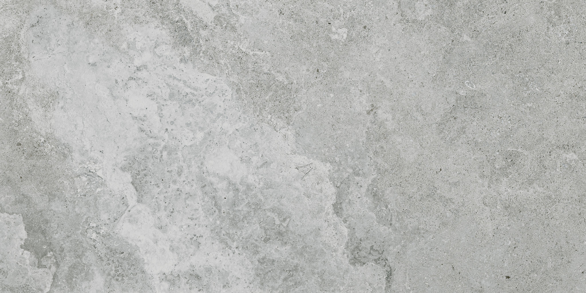 Veneta 12x24 Argento | Tile Masters
