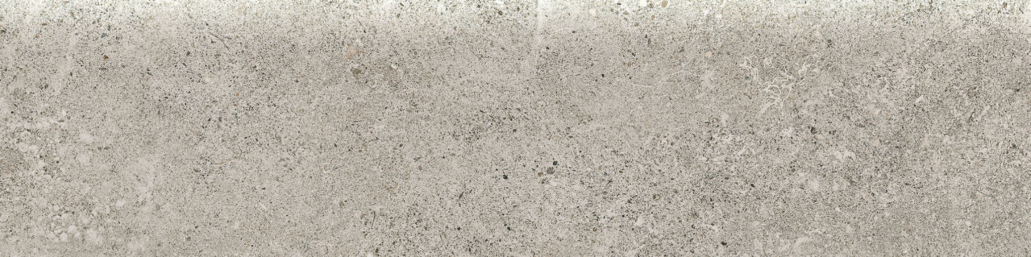 Veneta 3x12 Stormio Bullnose | Tile Masters