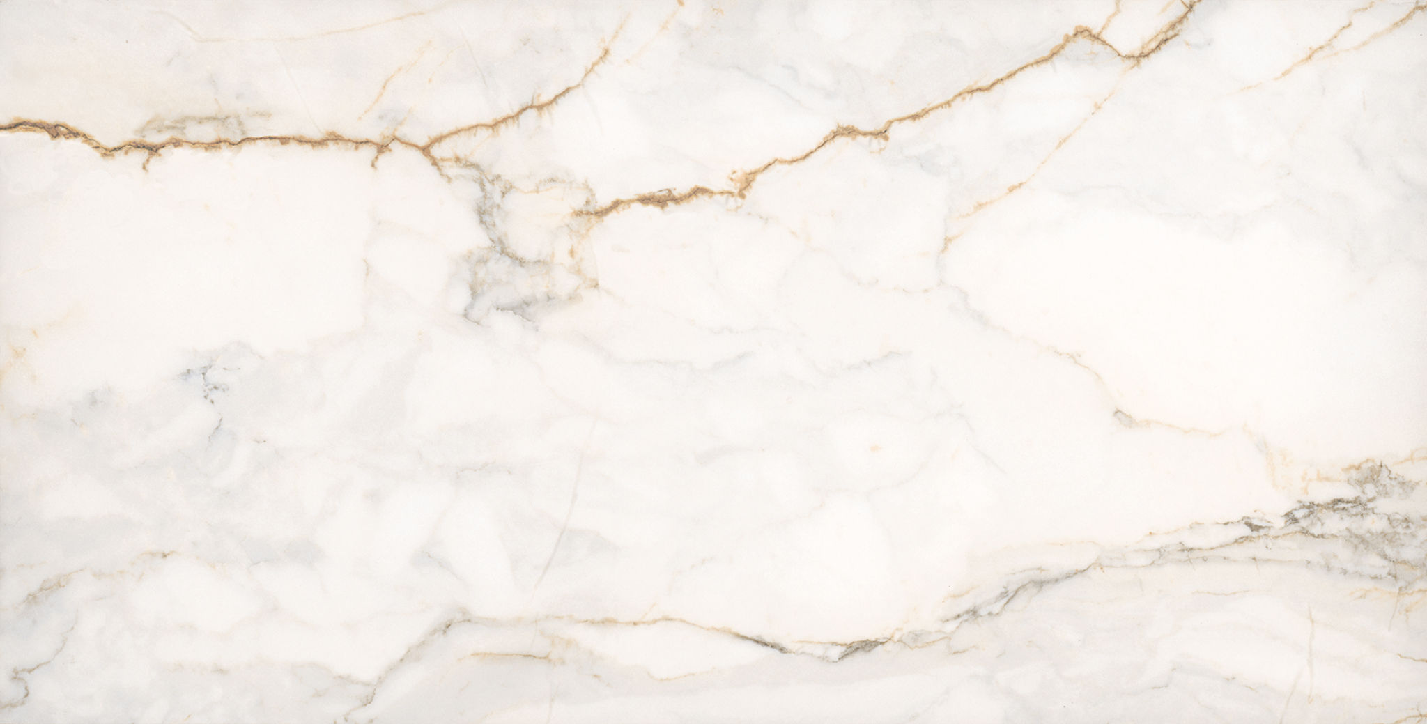 Treasure II Perfect Calacatta 12x24 Polished | Tile Masters