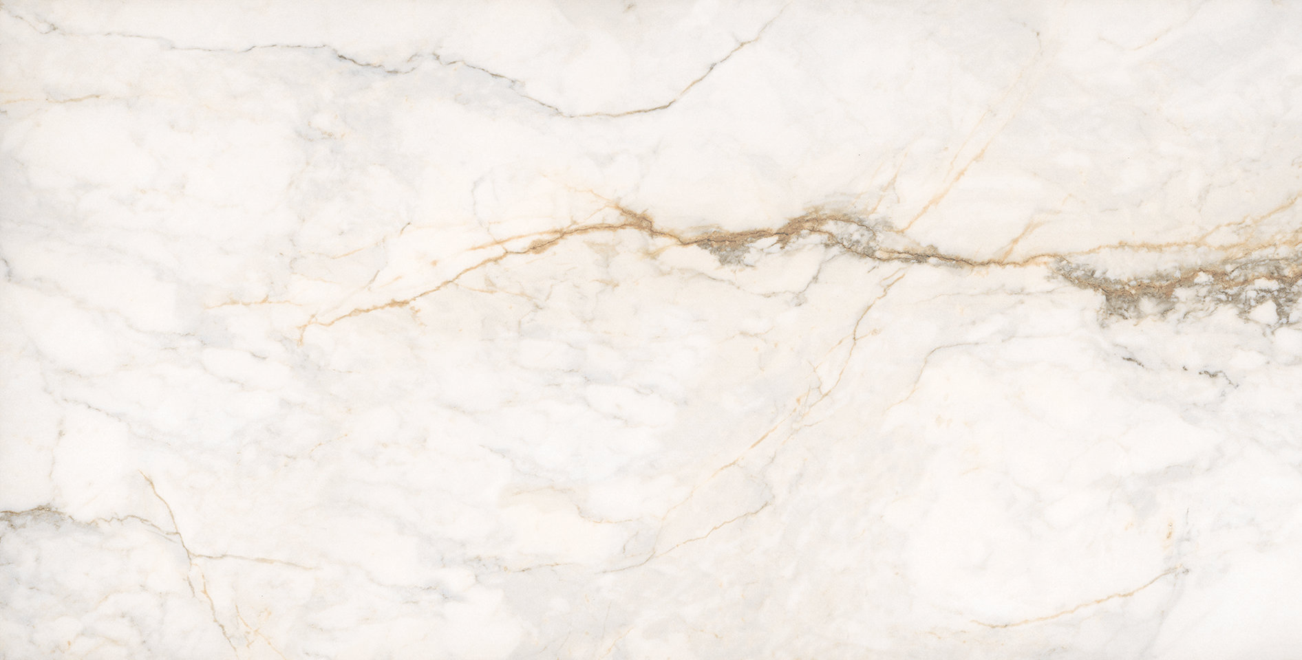 Treasure II Perfect Calacatta 24x48 Polished | Tile Masters
