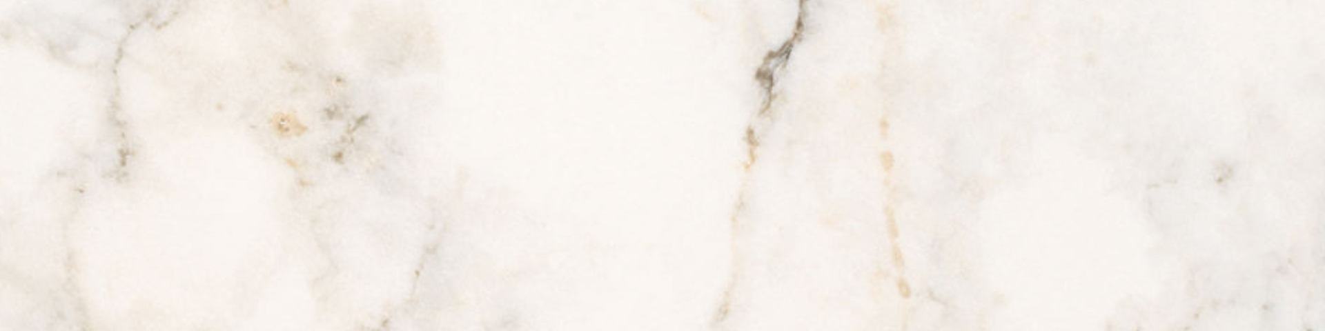 Treasure II Perfect Calacatta 4x12 Polished | Tile Masters